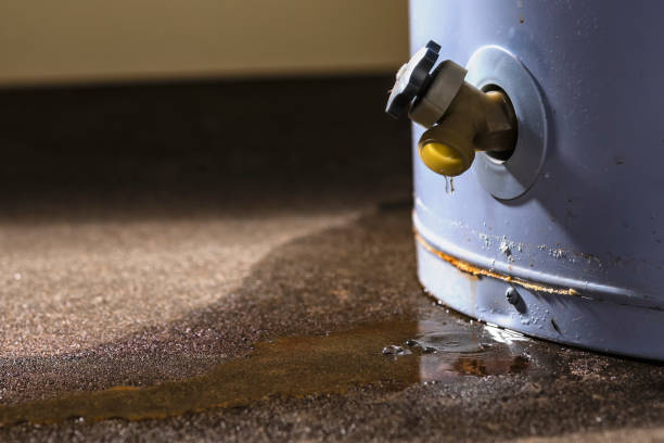 Reliable Holly Lake Ranch, TX Water damage restoration Solutions