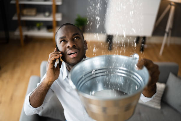Best Residential water damage restoration  in Holly Lake Ranch, TX