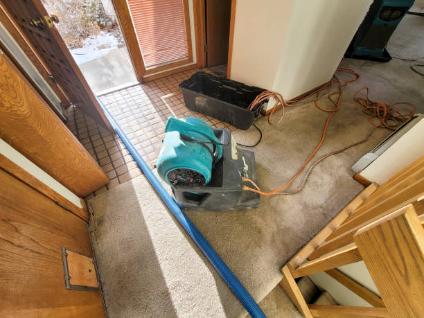 Best Ceiling water damage repair  in Holly Lake Ranch, TX