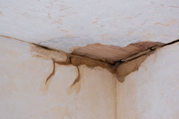 Best Flood restoration services  in Holly Lake Ranch, TX