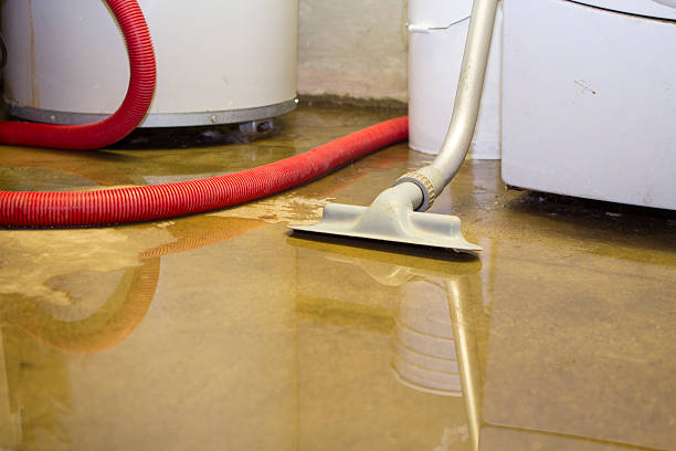 Best Commercial water damage restoration  in Holly Lake Ranch, TX