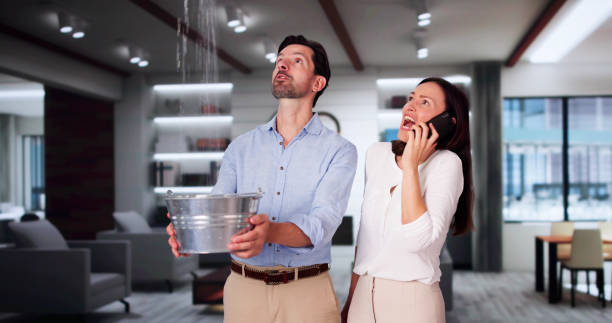  Holly Lake Ranch, TX Water damage restoration Pros